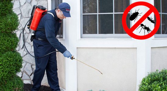 Narlıdere Böcek ve Haşere İlaçlama böcek ilaçlama ve haşere kontrolü — ilaclama-tr.com